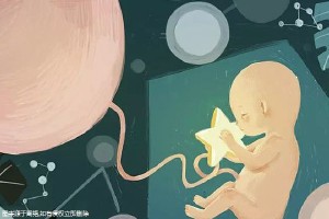 专业同志代怀服务收费标准